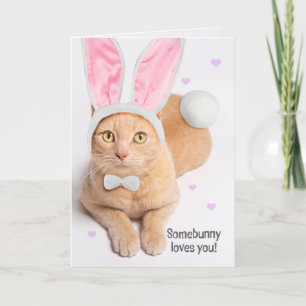 Happy Easter For Anyone Cute Ginger Cat  Bunny  Holiday Card