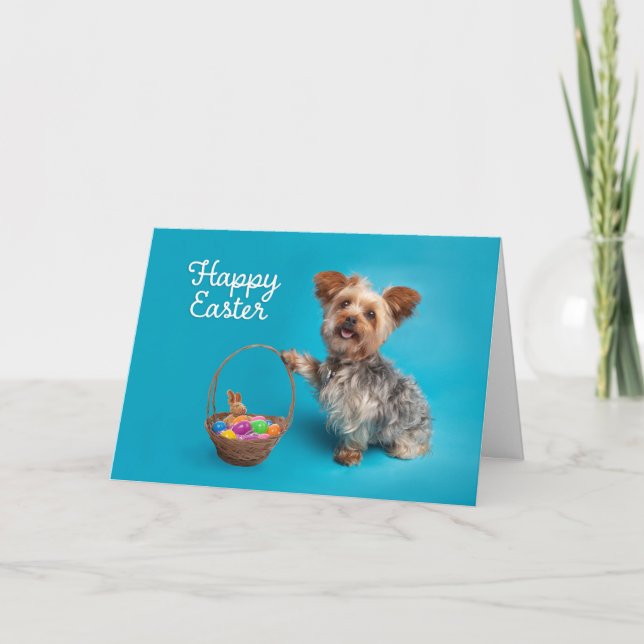 Happy Easter For Anyone Cute Yorkie Dog Holiday Card (Front)