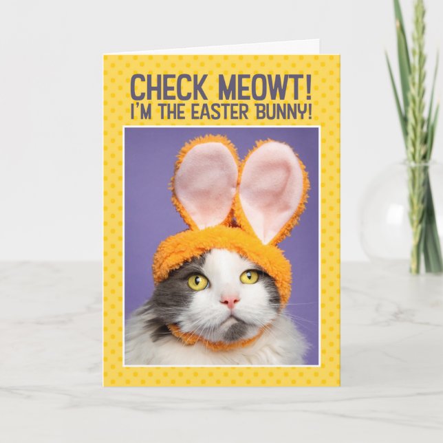 Happy Easter For Anyone Funny Cat in Bunny Ears Holiday Card (Front)