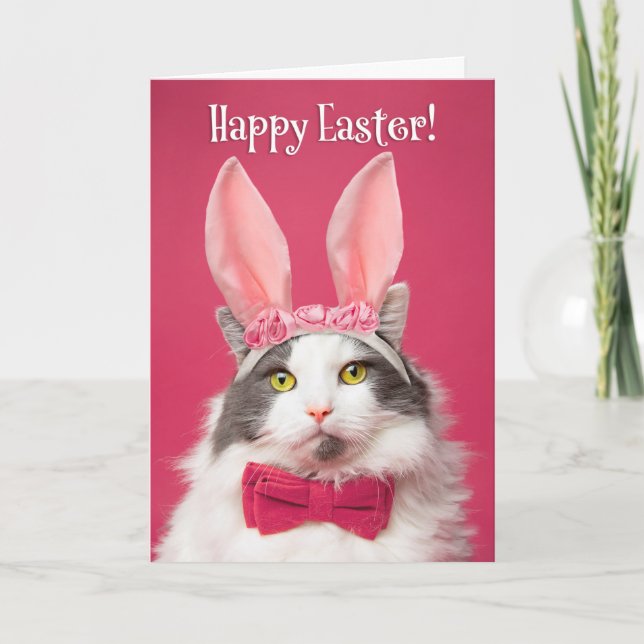 Happy Easter For Anyone Funny Cat in Bunny Ears Holiday Card (Front)