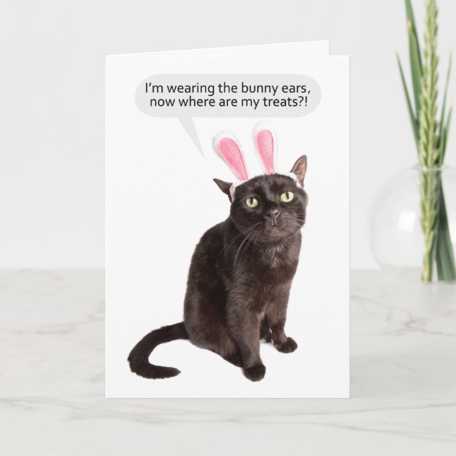 Happy Easter For Anyone Funny Cat Mad About Bunny  Holiday Card (Front)