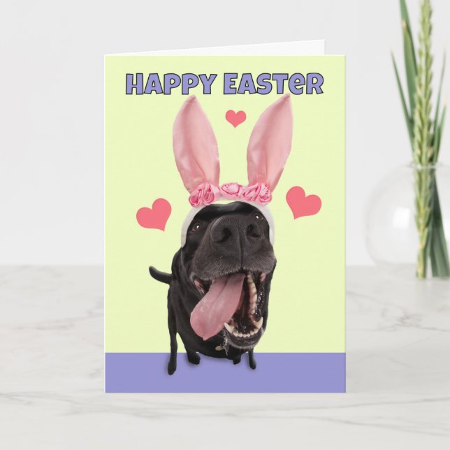Happy Easter For Anyone Name Dog in Bunny Ears Holiday Card (Front)