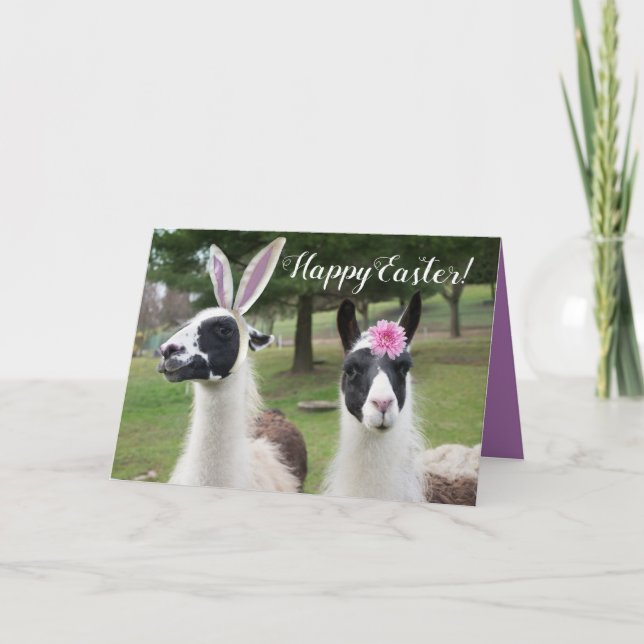 Happy Easter From 2 Easter Llamas Card (Front)
