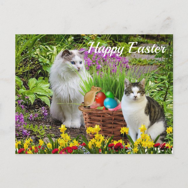Happy Easter From Your Cat Holiday Postcard (Front)