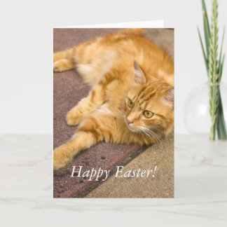 Happy Easter Ginger Cat Holiday Card