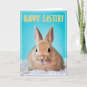 Happy Easter greeting card with cute bunny