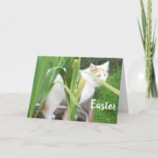 HAPPY EASTER - HAPPY SPRING to "YOU" Holiday Card