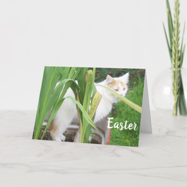 HAPPY EASTER - HAPPY SPRING to "YOU" Holiday Card (Front)