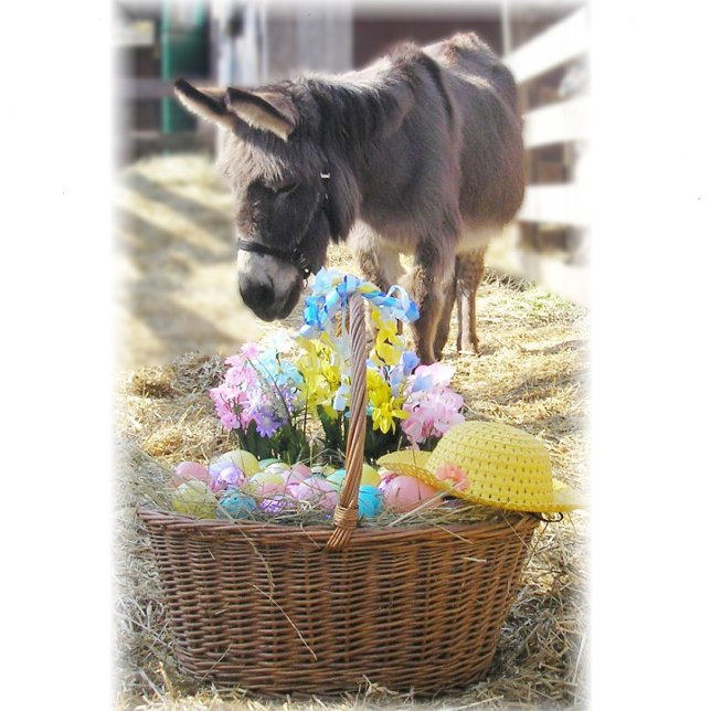 "Happy Easter" Holiday Card (Creator Uploaded)