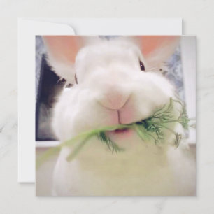 Happy Easter Holiday Card