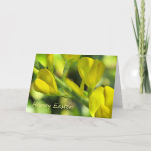 Happy Easter Holiday Card