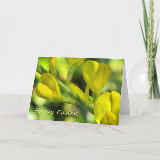 Happy Easter Holiday Card