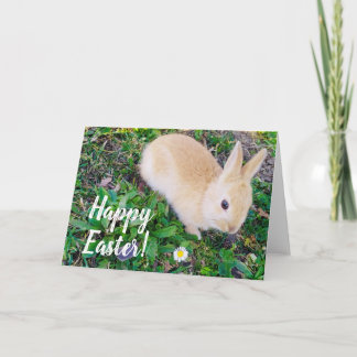 Happy Easter Holiday Card
