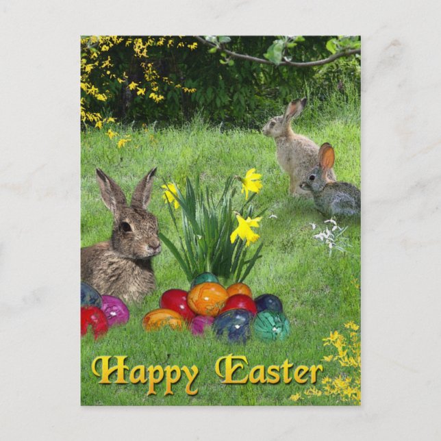 Happy Easter Holiday Postcard (Front)