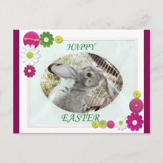 Happy Easter Holiday Postcard