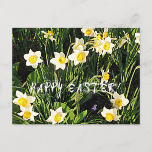 Happy Easter Holiday Postcard
