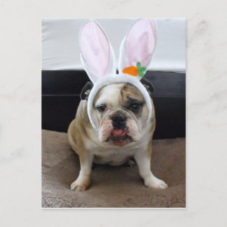 Happy Easter Holiday Postcard