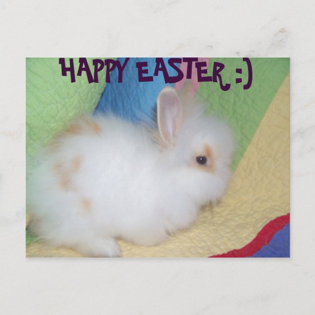 Happy Easter Holiday Postcard (Front)