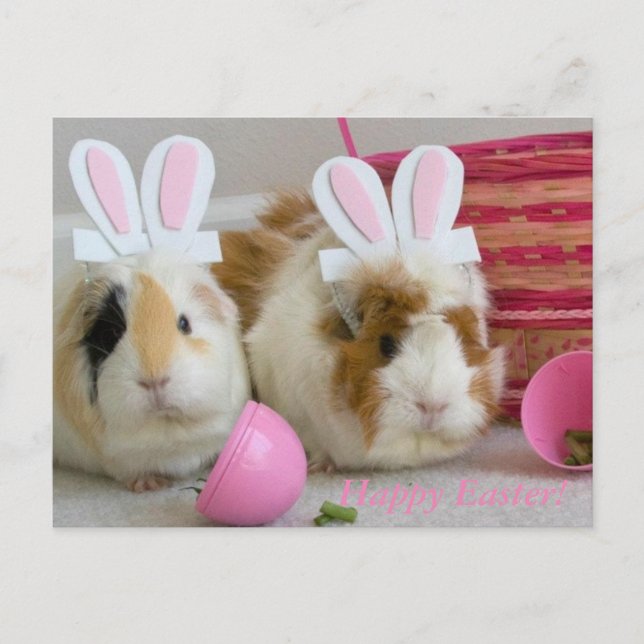 happy easter holiday postcard (Front)