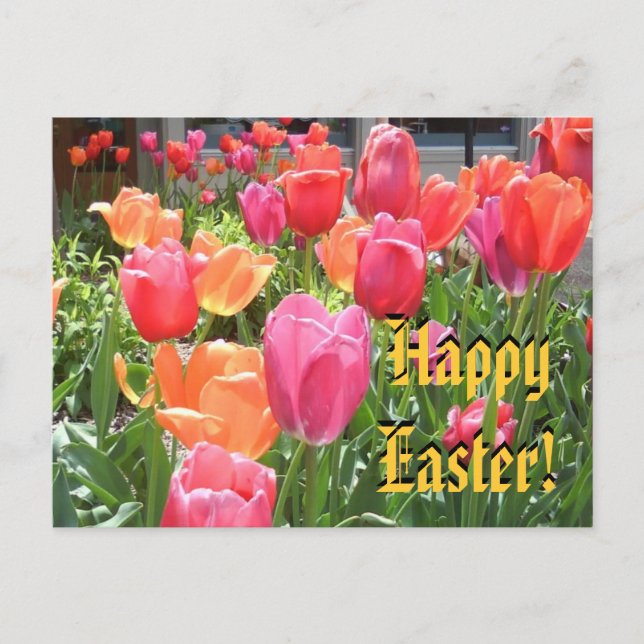 Happy Easter! Holiday Postcard (Front)