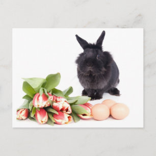 Happy Easter Holiday Postcard