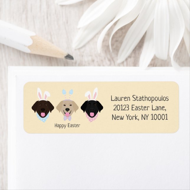 Happy Easter Labrador Retriever Dogs (Insitu)