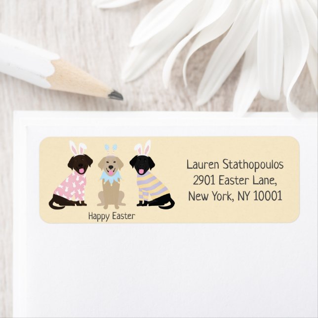 Happy Easter Labrador Retriever Dogs (Insitu)