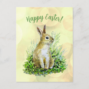 Happy Easter little bunny  watercolor  Postcard