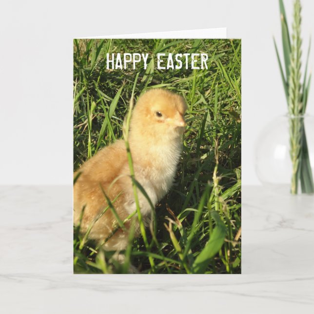 Happy Easter Little Chick Card (Front)