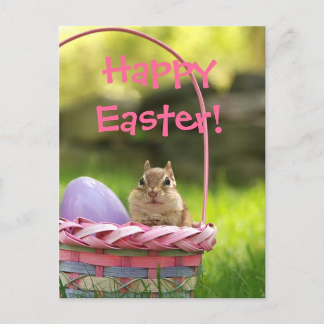Happy Easter Little Chipmunk 2 Holiday Postcard (Front)
