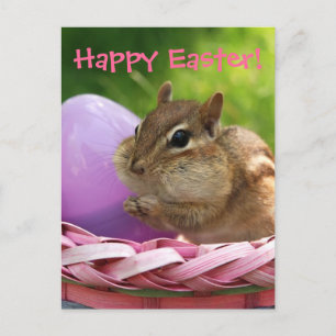 Happy Easter Little Chipmunk Holiday Postcard