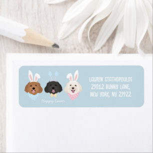 Happy Easter Maltipoo Dogs
