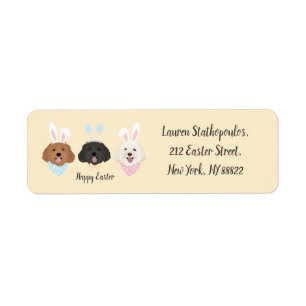 Happy Easter Maltipoo Dogs