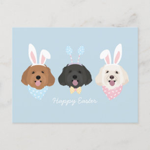 Happy Easter Maltipoo Dogs Postcard
