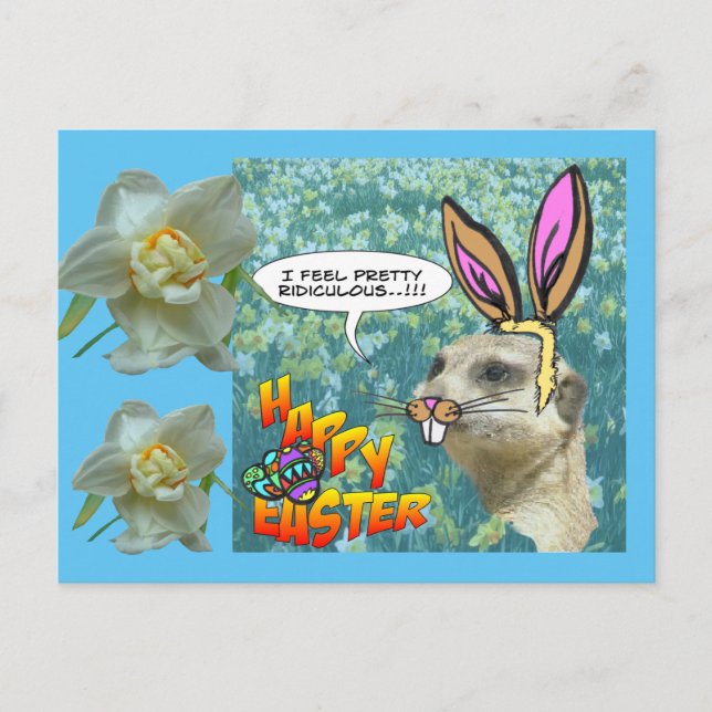 Happy Easter Meerkat Daffodils Postcard (Front)