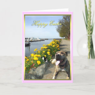 Happy Easter Pitbull and bunny greeting card