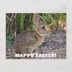 Happy Easter! Postcard