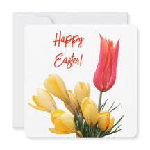 Happy Easter pretty yellow crocus red tulip floral