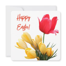 Happy Easter pretty yellow crocus red tulip love