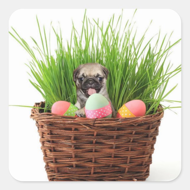 Happy Easter pug puppy Square Sticker (Front)