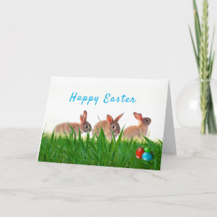 Happy Easter Rabbits and Holiday Eggs Card