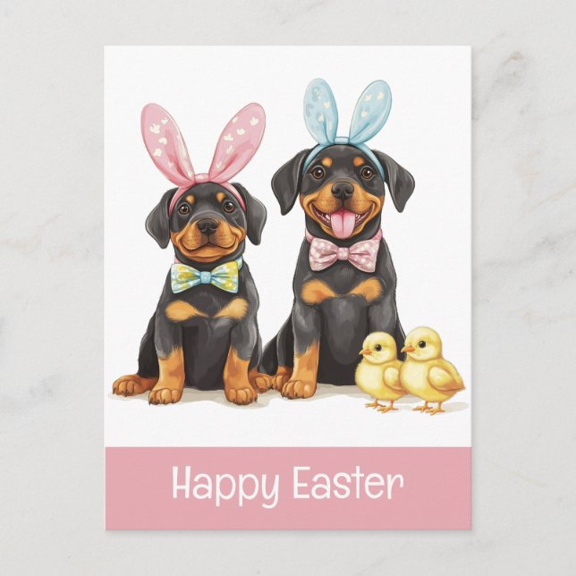 Happy Easter Rottweiler Dogs Bunny Ears Postcard (Front)