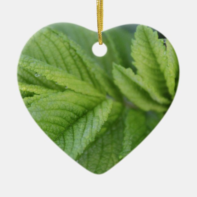 Happy Easter spring green leaves Ceramic Tree Decoration (Front)