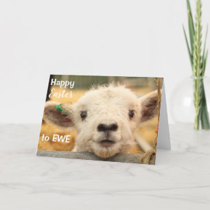 Happy Easter to EWE. Holiday Card