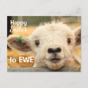 Happy Easter to EWE. Holiday Postcard