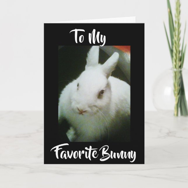 HAPPY **EASTER** TO MY "BUNNY" HOLIDAY CARD (Front)