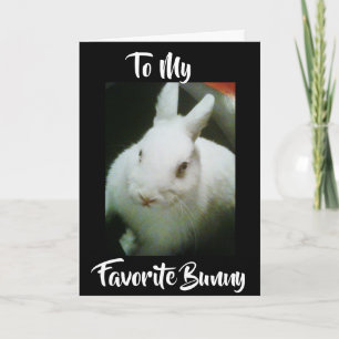 HAPPY **EASTER** TO MY "BUNNY" HOLIDAY CARD