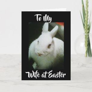 HAPPY **EASTER** to MY **WIFE** U MEAN THE WORLD Holiday Card