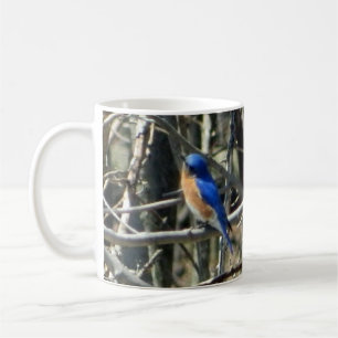 Happy Eastern Bluebird Mug