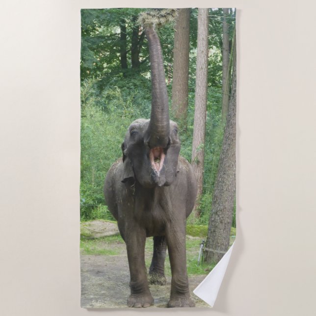 Happy Elephant Beach Towel (Front)